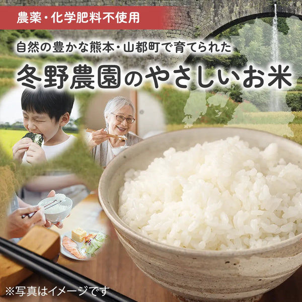 【先着10名様】冬野農園のやさしいお米(山都町産)